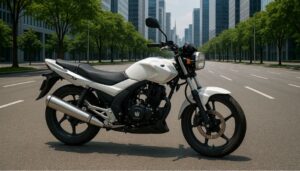 Seguro Shineray XY-125 11